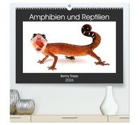 Amphibien und Reptilien (hochwertiger Premium Wandkalender 2026 DIN A2 quer), Kunstdruck in Hochglanz: Amphibien und Reptilien aus aller Welt