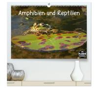 Amphibien und Reptilien (hochwertiger Premium Wandkalender 2026 DIN A2 quer), Kunstdruck in Hochglanz: Neun verschiedene mitteleuropäische Reptilien- und Amphibienarten