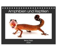 Amphibien und Reptilien (Tischkalender 2026 DIN A5 quer), CALVENDO Monatskalender: Amphibien und Reptilien aus aller Welt