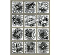 Amphigorey Also: Macabre and Imaginative Illustrations with Nonsensical Verse by Tony Award-Winning Storyteller Edward Gorey