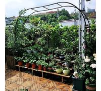 Ampio Arco Da Giardino In Alluminio, Arco In Metallo For Rose, Rete For Piante Rampicanti, Rete A Traliccio, For La Raccolta Di Cetrioli, Verdure, Viti, Piante Rampicanti ( Colore : Green , Taglia : 1