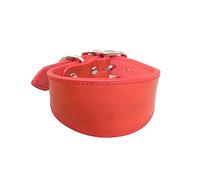 Ampio Collare Imbottito per Cani Collari per Cuccioli in Vera Pelle per Lurcher Levrieri Italiani Comodi Accessori per Cani