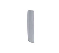 Ampliamento, parafango PACOL DAF-CP-001R