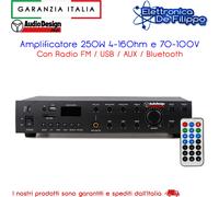 Amplificatore 250W 4-16Ohm e 70-100V Con Radio FM / USB / AUX / Bluetooth