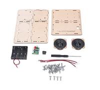 Amplificatore Audio Elettronico Suono Surround Stereo Kit di Altoparlanti Fai-da-te Attrezzature Laboratorio Facili Montare Progetti di Elettronica Fai-da-te Set di