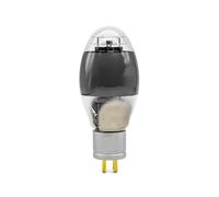 Amplificatore audio fai da te a tubo a vuoto ZX 300B E300B WE300B 300B 4300B(1 pcs)