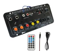 Amplificatore audio per auto, scheda audio per auto, 12 V e 24 V, modulo audio digitale Power Amplifier, kit elettronico, altoparlante senza fili, scheda per la modifica delle voci 'automobile