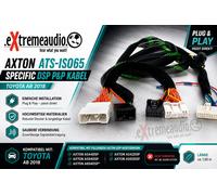 Amplificatore Axton ATS-ISO65 A544DSP, cavo di collegamento A594DSP...