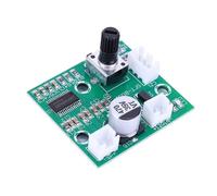 Amplificatore mono ad alta potenza da 60 W o scheda Modulo mini amplificatore di potenza digitale HIFI Mini Amplificatore