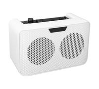 Amplificatore per Chitarra Elettrica BT da 10 W, Amplificatore per Chitarra con Porta di Ingresso da 1/4 di Pollice con Effetti di Ritardo e Jack per Cuffie da 3,5 Mm Supporta