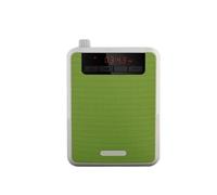 Amplificatore Vocale, K300FW Altoparlante wireless Guida didattica for insegnanti portatile Vita dedicata sospesa ad alta potenza(Groen)