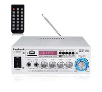 Amplificatori for auto Bluetooth 5.0 2000W con FM. Amplificatore di amplificatore audio veicolo Audio(Silver)