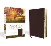 Amplified Holy Bible, Bonded Leather, Burgundy, Thumb Ind (Rilegato in ecopelle)