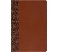 Amplified Holy Bible, Large Print, Leathersoft, Brown: Captures the Full Meaning Behind the Original Greek and Hebrew