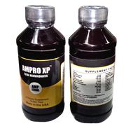 Ampro XP Super Energy Pre-Workout Energy & Endurance 120 ml, 1 Flacone