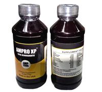 Ampro XP Super Energy Pre-Workout Energy & Endurance 120 ml, 1 Flacone