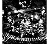 Amputator/ Deiphago - Amputator / Deiphago - Split