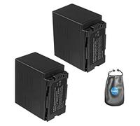 Amsahr b-cgad54 - 2 ct computer digitale fotocamera e videocamera batteria per Panasonic Cga D54, D54S, D54SE con accessori Lens Pouch (grigio)