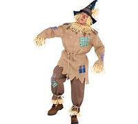 amscan Mr. Scarecrow with Pointed Hat