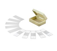 AmScope 10pc Preparati E Vuoto Vetro Microscopio Diapositive IN Plastica Scatola