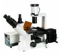 AmScope Microscopio Invertito A Fluorescenza Con Contrasto Fase 40x-1000x