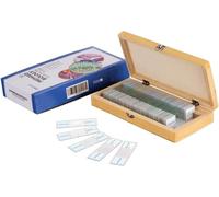 AmScope PS50 - Set di guide per microscopio preparato per l'educazione di base di scienze biologiche, 50 diapositive, con custodia in legno