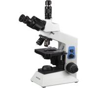 AmScope T580B 40X-2000X Professionale Ricerca Biologico Composto Microscopio