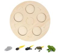 AMSLSIU Simulazione Insetto Crescita in plastica Modello di asilo in miniatura Puntelli per l'istruzione Immaginazione Accessori per giocattoli cognitivi, Tipo 1