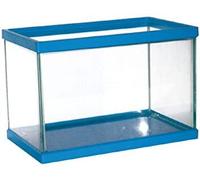AMTRA Azzurra Vasca in Vetro con Cornice Colorata per Pesci CM.50