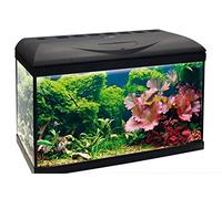 Amtra Basic 60 LED - Acquario completo di 65 litri, illuminazione LED 8500 8W, incluso filtro Filtering Box 150, 60x30x42 cm, nero