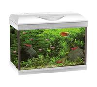 Amtra Basic 60 LED - Acquario completo di 65 litri, illuminazione LED 8500 8W, incluso filtro Filtering Box 150, 60x30x42 cm, bianco