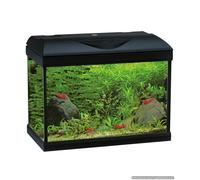 Amtra Basic LED 40 Black Acquario completo per acqua dolce o marina, ideale per