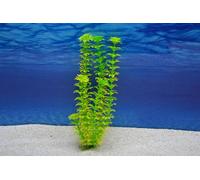 Amtra Cabomba L 29cm Artificiale Pianta Decorazione Acquario