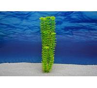 Amtra Cabomba XL 36Cm Pianta Artificiale Decorazione Acquario
