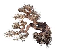 Amtra - Legno Oriental Wind 7, fatto a mano, per acquario, 25X10X20 CM