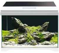 Acquario Modern Tank Amtra: 40 LED