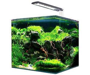 AMTRA NANOTANK SYSTEM 60 - Acquario in vetro completo di luce LED e filtro / cm 38x38x43 / 60 Litri