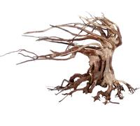 Amtra Legno Oriental Wind 6 taglia M, decorazione in legno per acquario fatto a mano, tronco naturale ornamentale, accessorio arredo decorativo, 30x13x23 cm