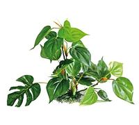 Amtra Wave A8011402 Plant Replica Anubias