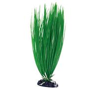 Amtra Wave Plant Classic Acorus LG