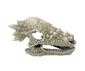 Amtra Wave Teschio di Drago