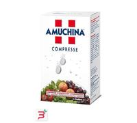 AMUCHINA COMPRESSE 1 G 24 PEZZI