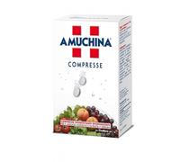 Amuchina Compresse Disinfettanti 24 Compresse