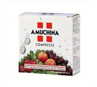 Amuchina Compresse Disinfettanti Effervescenti, 24 Compresse