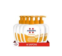 Amuchina Sapone Liquido Antiodore 250 Ml 6 Pezzi