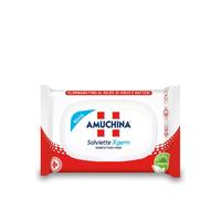 Amuchina X-Germ Salviettine Disinfettanti Mani 20 pezzi
