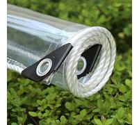 Amunpitic Telone PVC Impermeabile Trasparente 0.8x1m, Teloni Trasparente Occhiellato, Telo Plastica Trasparente Impermeabile, per Giardini, Serre, Piante