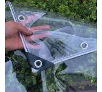 Amunpitic Telone Trasparente Impermeabile 2x5m, Telo Plastica Trasparente Spesso, Teloni PVC Occhiellato Pesante, per Giardini Terrazze Balconi Automobili Piante Serre