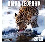 Amur Leopard Calendar 2026: Rare and Elusive Big Cats in the Wild