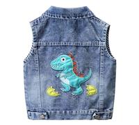 Amur Leopard Gilet di Jeans Bambini Giacca in Denim senza Maniche Ragazza Cappotti Gilet per Primavera Autunno, Blu, 100/2-3 Anni